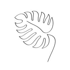 Monstera plant line art 