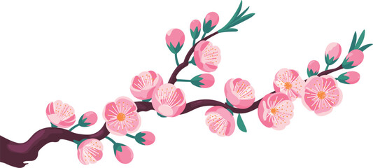 Vector illustration of a pink cherry blossom branch, spring nature, blooming floral design, and romantic element