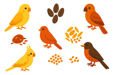 Colorful domestic pet birds including canaries and cockatiels with various feeding seeds