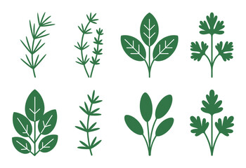 Eight green herb and leaf herbs leaves