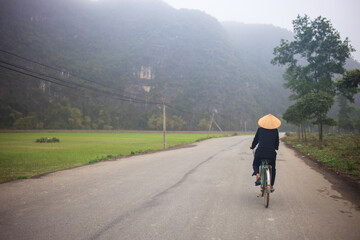 Obraz premium Vietnamese cyclist riding along a rural road between rice fields and misty mountains in a peaceful northern Vietnam landscape.