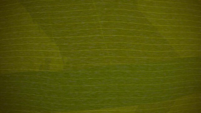 stylish striped textile background suitable for branding videos and presentations