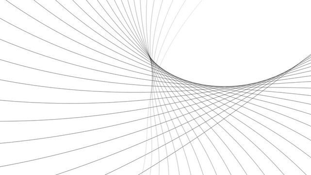 Abstract Gray Wavy Lines Forming a Swirl on a White Background image photo
