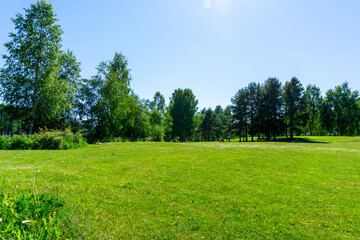 Sunny Green Public Park in Norway with Blue Sky and Mixed Trees Summer Landscape
