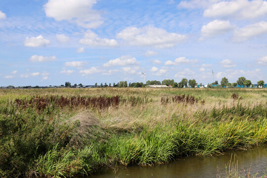 Meadows in the Zuidplaspolder where new village Cortelande will be build