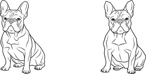 Two black and white line art illustrations of French Bulldogs sitting side by side