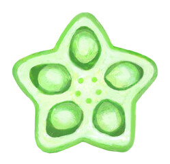 オクラの断面のイラスト