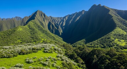 Scenic green mountains and valley in the Hawaiian Islands with a blue sky background.