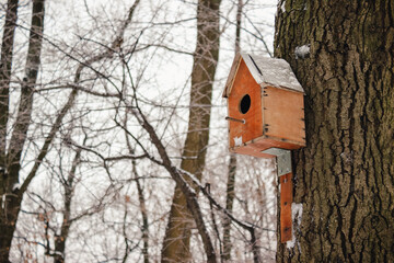 Wooden birdhouse attached to a tree trunk in a snowy winter forest scene provides shelter and feeding