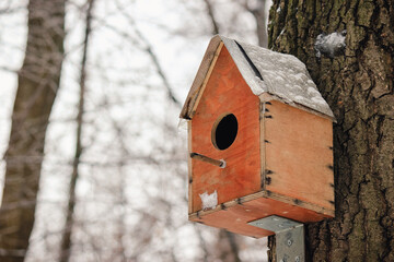 Wooden birdhouse attached to a tree trunk in a snowy winter forest scene provides shelter and feeding