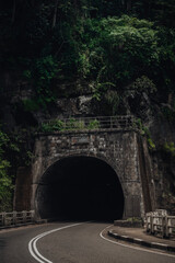 Fototapeta premium ramboda tunnel in srilanka