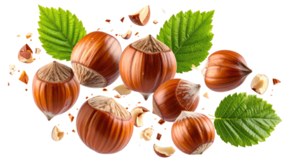 Group of nuts, leaves, and nut pieces isolated on black