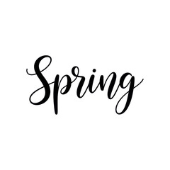 Embracing the Season: Spring in elegant script, celebrating the spirit of renewal.