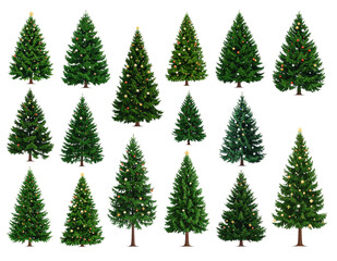 Obraz premium Set of christmas trees isolated on white