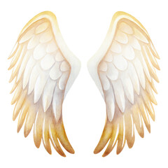Watercolor angel wings illustration in soft gold tones on black background