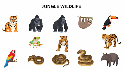 Flat design illustrations of twelve different jungle wildlife animals on a white background © Faisal