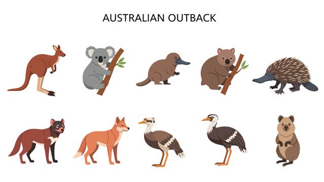Flat illustration of ten Australian outback animals against a white background
