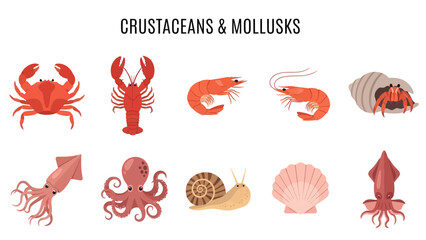 Ten seafood illustrations including crustaceans and mollusks on white © Faisal