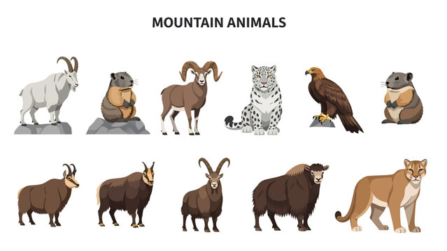 Vector illustration of ten different mountain animals on a white background
