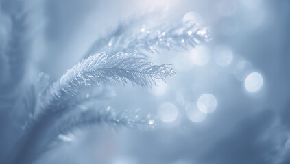 Shimmering frost-covered conifer branch showing ice crystals and droplets in outdoor macro, bokeh