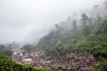 Misty tropical forest covering steep mountains and a rocky river in a wild, humid landscape of central Vietnam.