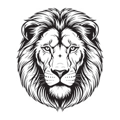 Obraz premium Lion Head Line Art Vector