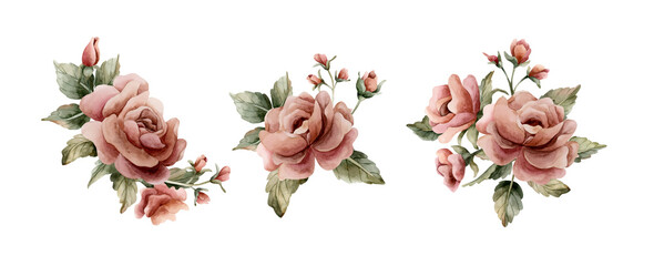 Roses with buds and leaves. Dusty pink garden flower arrangements set. Watercolor hand painted floral isolated illustration on white background for wedding design home textile porcelain crockery card