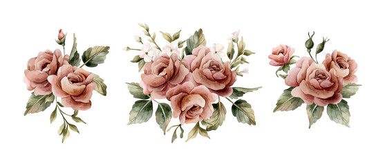 Roses with buds and leaves. Dusty pink garden flower arrangements set. Watercolor hand painted floral isolated illustration on white background for wedding design home textile porcelain crockery card