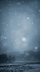 Fototapeta premium snowy landscape with falling snow and distant silhouettes of trees.