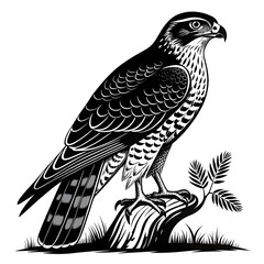 Obraz premium Eagle perched on a branch and flying in the sky on a simple white background