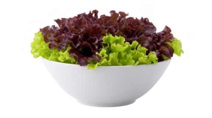 Fresh green and red leaf lettuce in white ceramic bowl, isolated on transparency background, healthy organic salad, crisp texture, perfect for vegetarian or vegan meal preparation