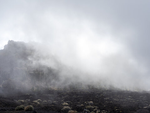 View of a dark, volcanic landscape shrouded in ethereal white clouds, with sparse vegetation clinging to the rugged terrain, El Teide National Park, Tenerife, Spain.