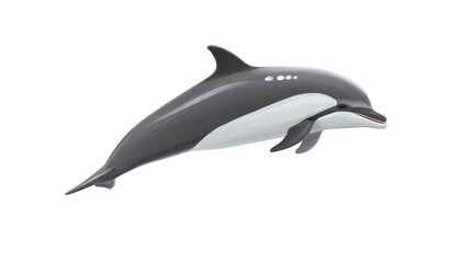 Fototapeta premium Dolphin illustration marine mammal aquatic animal gray and white ocean wildlife playful intelligent swimming isolated side view digital art