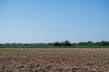 Plowed Agricultural Field Under Blue Sky