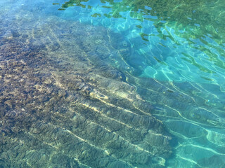 Obraz premium Clear sea with seaweed at the bottom.