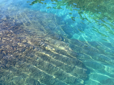 Clear sea with seaweed at the bottom.