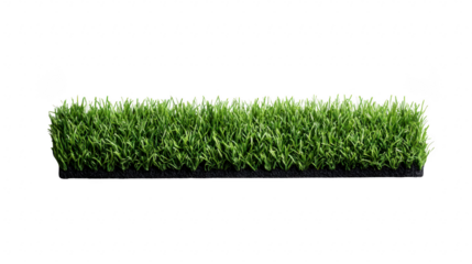 Green grass turf, fresh and vibrant, isolated on transparency background, perfect for landscaping, gardening, or lawn design concepts, showcasing natural texture and healthy growth