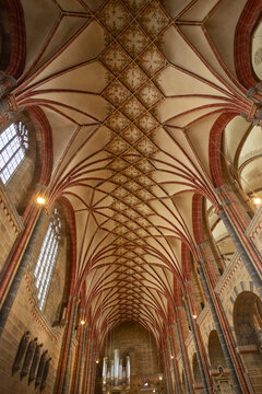 View of the interior of a cathedral with vaulted ceilings, intricate geometric patterns, and soaring arches creates a breathtaking architectural marvel, Bremen, Bremen, Germany.