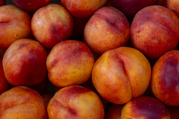 Closeup of ripe nectarines with vibrant red and orange skin filling the frame. Juicy ripe nectarines closeup perfect for healthy eating nutrition concepts fruit market advertising.