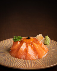 Fresh Salmon Slices Ikura Roe Japanese Sashimi Rice Plate