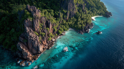 Aerial View of Tropical Island Coastline 