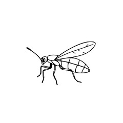 A simple black line art of a stick insect in an outlined style, emphasizing its slender body and limbs.