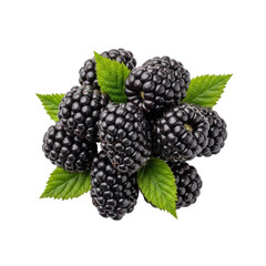 Plump, fresh, purple-black blackberries, green leaves, glistening condensation, isolated on transparent, extreme macro, shadowless, commercial food concept
