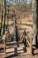 Long winding wooden boardwalk trail in forest on a sunny spring day