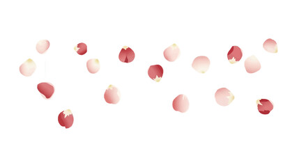 Petal Cascade: Delicate rose petals in soft hues of pink and red dance gracefully, creating an ethereal and romantic ambiance.