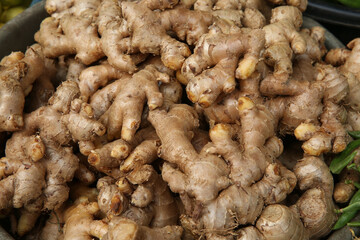 Fresh spice: ginger root on counter of Indian farmer market in Gujarat, India. Summer harvest, vegetables, roots: ginger root. Organic products. Healthy vegetarian food. Group of garden ginger