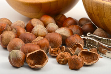 Gemeiner Hasel, Haselnuss Corylus avellana