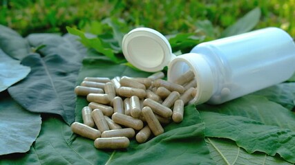 Various herbal supplement capsules. Selective focus. - Powered by Adobe