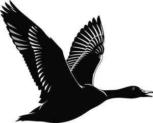 Obraz premium Flying Duck Silhouette Vector