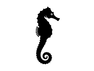 Detailed Seahorse Silhouette Icon or Logo Design with White Eye Highlight and Curled Tail, Isolated on a White Background